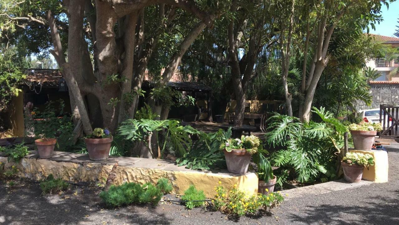 Bellasombra Suites Las Palmas de Gran Canaria Kültér fotó